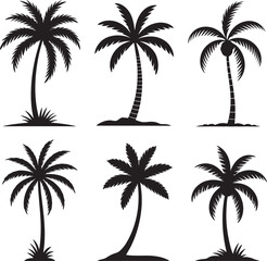 Fototapeta premium set of palm trees