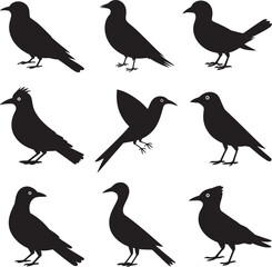 set of birds silhouettes