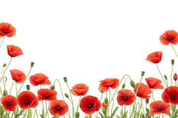 a decorative border featuring vibrant red poppies in full bloom, arranged at the bottom of the image. Transparent background