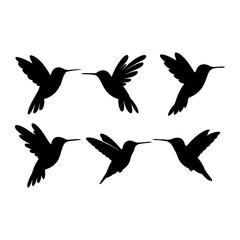Silhouette illustration of six hummingbirds in various flying positions against a white background view