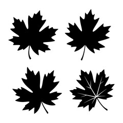 Illustration of four maple leaves in black silhouette on a white background design element art work