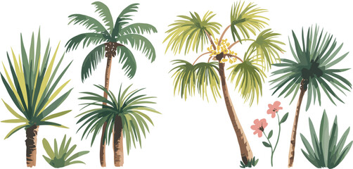 Tropical plant vector, palm tree illustration, exotic foliage clipart, desert garden art, botanical drawing, summer nature graphic, green leaves design