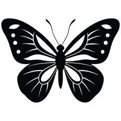 Detailed Butterfly Art on White