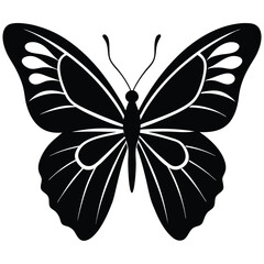 Butterfly Flying on White Backdrop