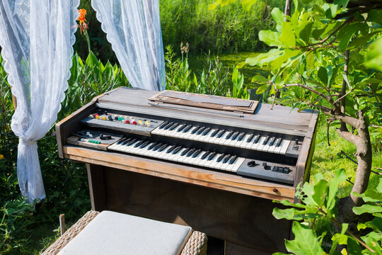 A worn out electronic organ is placed in the garden as a decoration