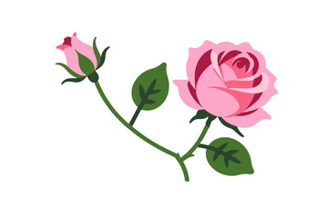 Obraz premium Pink Rose Flower Illustration - Floral Vector Graphic with Bud and Leaves - Botanical Art for Design Projects - Elegant Rose Clipart on White Background