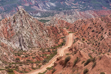 Ruta cuarenta