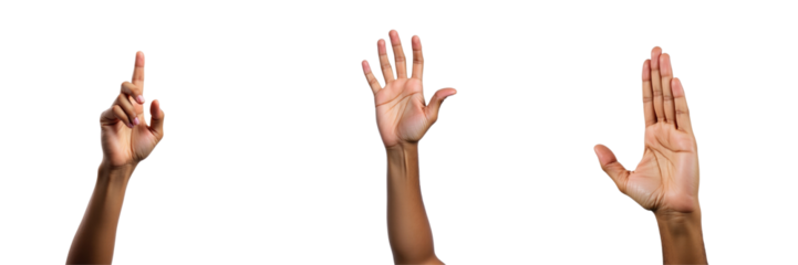 Three distinct hands positioned against a transparent background, showcasing varying gestures: one hand raised index finger, another with fingers splayed, and a third hand in a 'stop' gesture.
