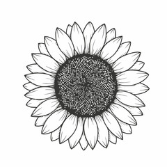 black and white flower