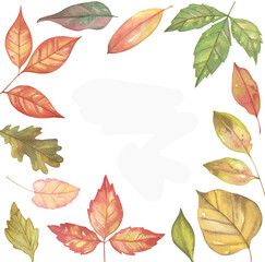Obraz premium Watercolor Autumn Leaves Collection. Isolated on White Background for Seasonal Design