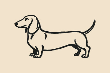 dachshund dog naive brush sketch vector illustration

