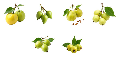 Variety of Green and Yellow Pears with Leaves on transparent Background Featuring Different Stages of Ripeness and a Few Visible Seeds for a Lush Natural Look