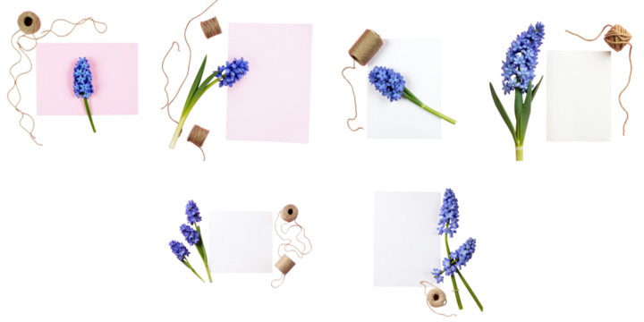 Arrangement of Colorful Cards with Blue Flowers and Twine on transparent Background Featuring Pink and White Papers, Natural Elements, and Decorative Spools.
