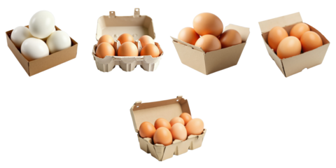 Collection of Various Egg Cartons Displaying White and Brown Eggs in Egg Containers on a transparent Background Showcasing Different Packaging Styles and Arrangements.