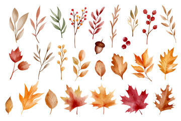 Watercolor autumn leaves clipart set. Hand painted fall foliage for scrapbooking, cards, posters & invitations
