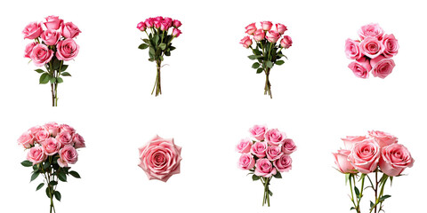 Collection of Pink Roses on transparent Background Featuring Various Bouquets and Arrangements with Different Stem Lengths and Bloom Sizes Ideal for Floral Design Projects