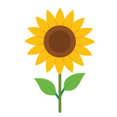 sunflower-on-white-background.eps
