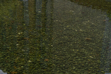Clear water with green pebbles, natural minimalism, tranquil mood, reflecting cityscape, Seoul, South Korea, Songdo-dong