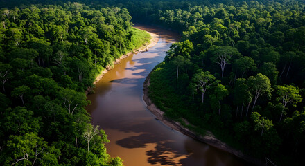Lush Green Canopy Surrounding Meandering River In Amazon Rainforest