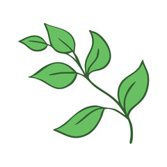 Green twig of rasteria or tree. Decorative element for design and decoration of cards, invitations and flyers. Vector art illustration isolated on white background. Outline style