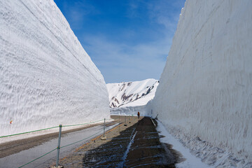 アルペンルート　雪の大谷　2025/5/5撮影