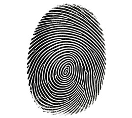 A close up shot of a fingerprint with black lines on a white background showing unique identification