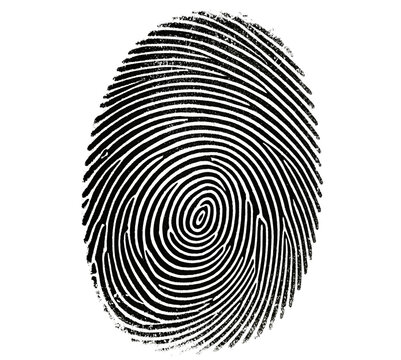 A close up shot of a fingerprint with black lines on a white background showing unique identification