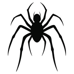spider on a white background