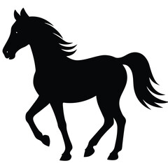 horse silhouette isolated on white