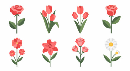 Elegant Assortment of Red Flowers on White Background