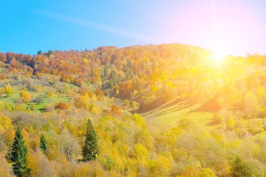 Colorful autumn landscape in the forest and bright sunrise.