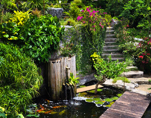 Serene pond complete with a beautiful waterfall and fish swimming gracefully