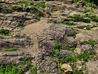 A detailed closeup view of a rocky surface showcasing grass that is growing out the crevices.