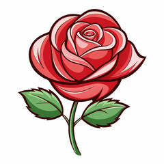 red rose isolated on white