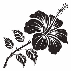 black and white flower