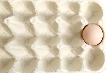 On a white background lies a cardboard tray with one chicken egg.