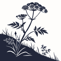 black and white of dittany of crete