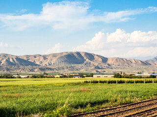 rural fields along E117 highway in Ararat province