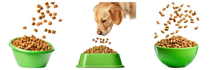 Golden Retriever Sniffing Pet Food in Colorful Bowls with Kibble Falling, isolated on transparent background.