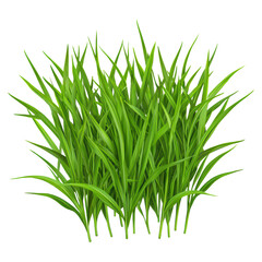 Obraz premium Lush Green Grass Clusters Representing Vibrant Nature and Fresh Landscapes, isolated on transparent background.