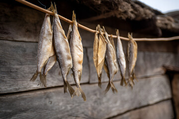 Fototapeta premium Dried fish hanging on a rope against a rustic wooden background, showcasing traditional preservation methods and the natural textures of the fish and wood