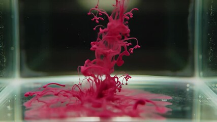 Vibrant Pink Ink Cloud Spreading and Swirling in Clear Water Tank, Abstract Fluid Dynamics Background - Powered by Adobe