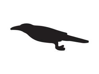 Silhouette of a crow
