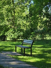 bench in the park