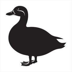 silhouette of duck