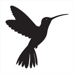 silhouette of flying Hummingbird on the white background	
