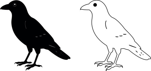 Stylized Crow Illustration in Vector Format with Black Crow Silhouette Overlay