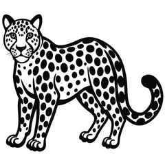 snow leopard vector