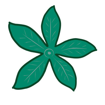 green leaf isolated on white