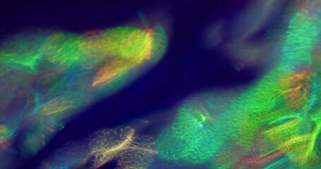Light leak. Neon defocused gradient. Green beam glowing on violet background. Night colorful...